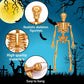 DULEFUN 6pcs Small Skeleton Figurines 6 Inch Mini Plastic Skeletons for Craft Halloween Hanging D  cor Poseable Skeleton Toys Pa
