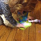 Nature Microscope for Young Scientists