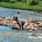 Prank-O 500 Piece Prank Jigsaw Puzzle - When Nature Calls (Flowing Freedom)  Hilarious Pooping Dog Surprise Image  Dog Lovers and Family Fun Hidden Image Surprise