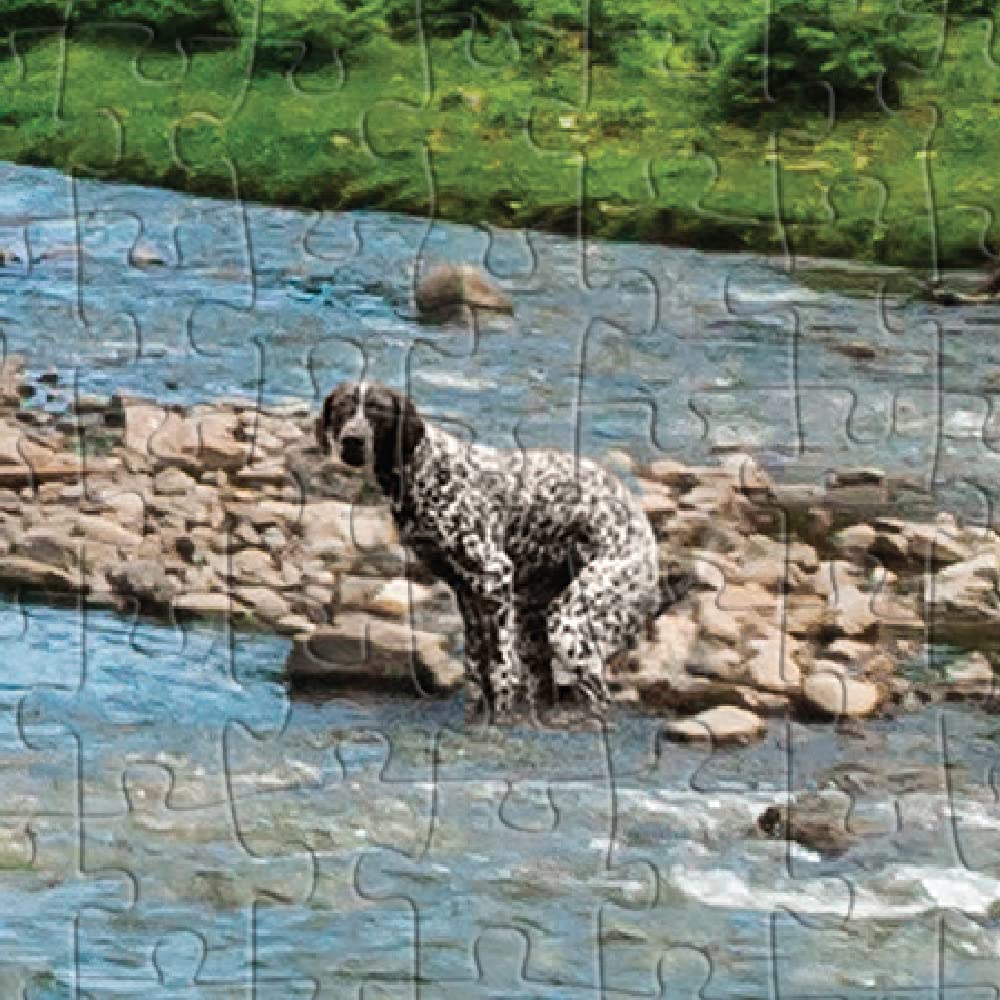 Prank-O 500 Piece Prank Jigsaw Puzzle - When Nature Calls (Flowing Freedom)  Hilarious Pooping Dog Surprise Image  Dog Lovers and Family Fun Hidden Image Surprise