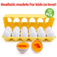 FQKIOMY Egg Toys for Toddlers,Montessori Geometric Eggs Early Fine Motor Skills Learning Color Shape Sorting Matching Game Easte