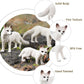 Rcomg 7Pcs Fox Toy Figures, Plastic Forest Animals Fox Figurines Set Include Arctic Fox & Red Foxes Toys, Cake Topper Party Favor Gift For Kids Children Toddlers