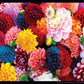 MasterPieces 550 Piece Jigsaw Puzzle - Beautiful Blooms - 18"x24" - Paper - Model 81454