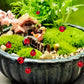 100Pcs Mini Ladybug Decor For Dollhouse Resin Tiny Ladybugs For Crafts Micro Miniature Ladybug For Fairy Garden Dollhouse Micro