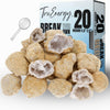 TRUENERGY Medium Break Your Own Geodes 20 (1.5 -2.5) enhanced Easy to Open Geode with Crystals - Includes Magnifying Glass and Instructions  STEM Science Kit