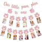Pink Fall Pumpkin 1St Birthday Photo Banner Pumpkin Birthday Photo Banner For Newborn To 12 Months Milestone Photograph Bunting