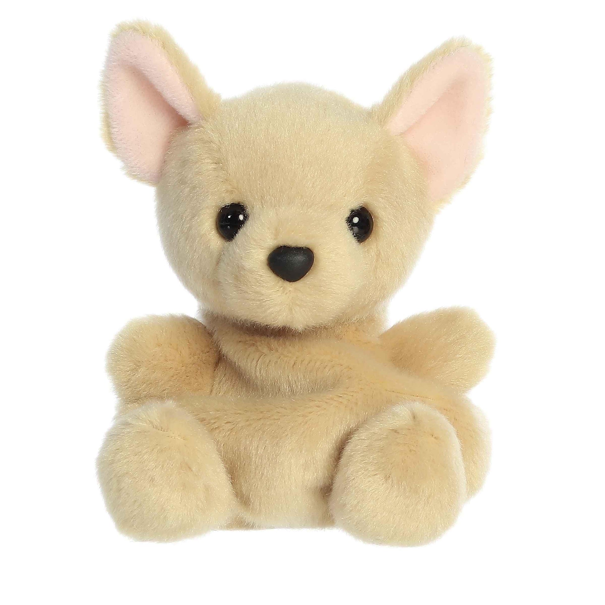 Aurora Adorable Palm Pals Cookie Chihuahua Stuffed Animal - Fun Collectible Plush for Kids and mature-themed Collectors - Perfect for Decorating Rooms and Birthday Gifts - Brown 5 Inches