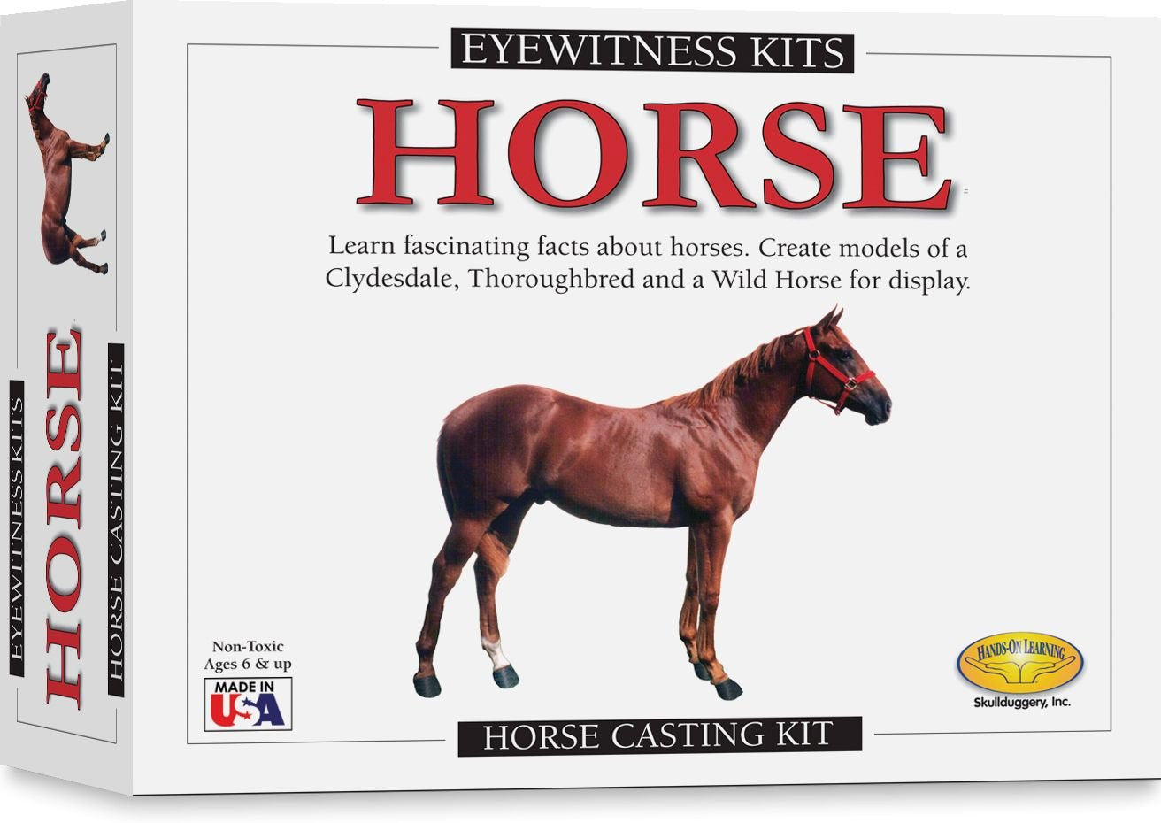 Eyewitness Kits Perfect Cast Horses Cast, Paint, Display And Learn Craft Kit