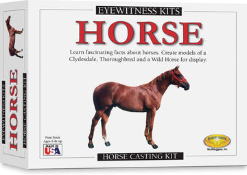 Eyewitness Kits Perfect Cast Horses Cast, Paint, Display And Learn Craft Kit