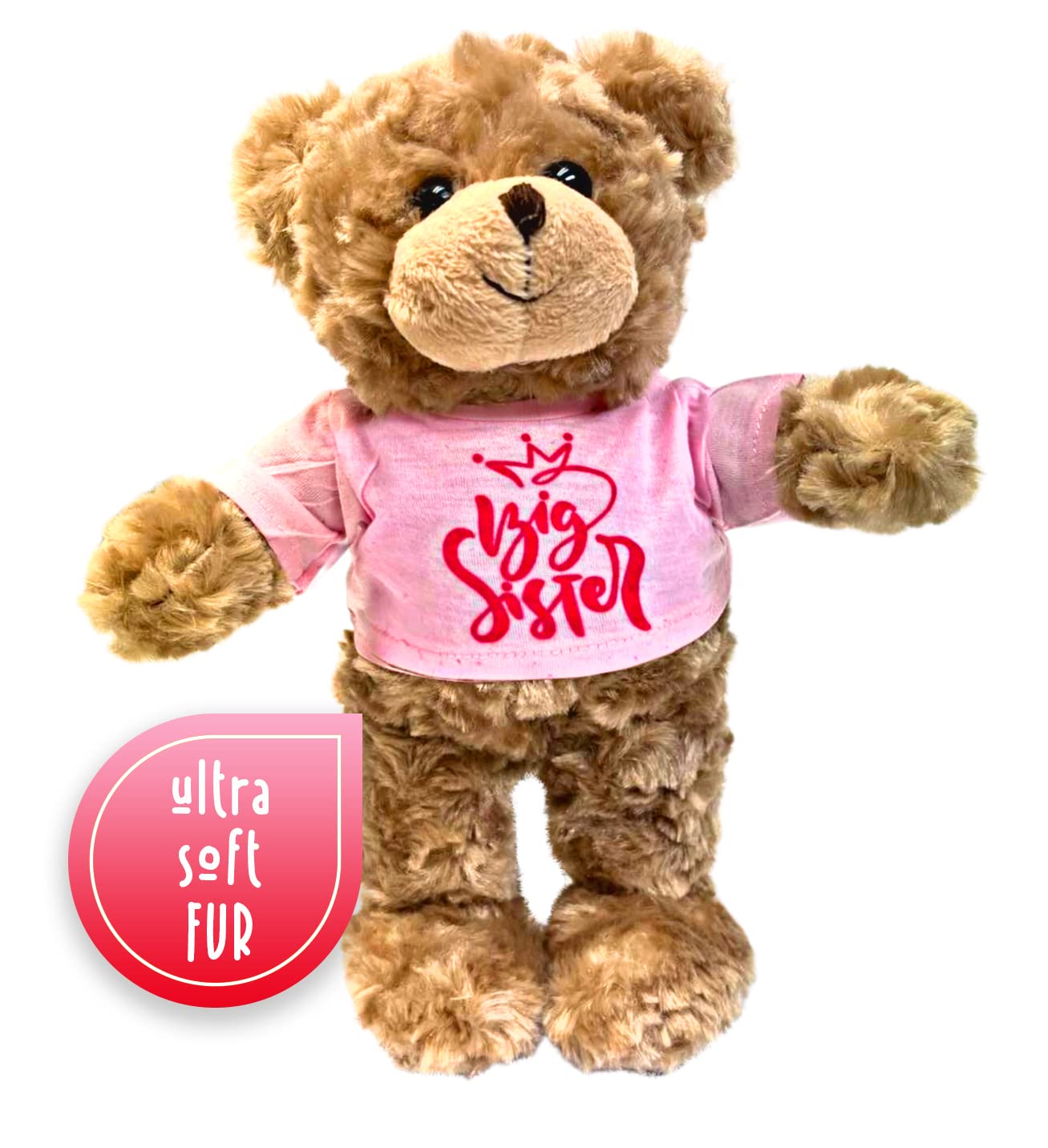 Jolitee Teddy Bear Stuffed Animal Big Sister Plush For Little Girls, Toddlers I'M A Big Sister Gift, 10 Inches