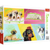 Trefl 1000 Piece Jigsaw Puzzle  Far Out Dogs