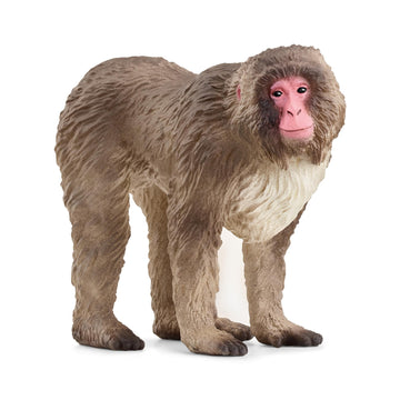 Schleich Wild Life New 2024 Wild Animal Toy Japanese Macaque Figurine