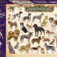 Hinkler Books 9354537001919 Vintage Puzzle: Dog Breeds, 1000 Pieces