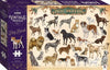 Hinkler Books 9354537001919 Vintage Puzzle: Dog Breeds, 1000 Pieces
