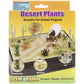 Woodland Scenics Desert Plants Diorama Kit SP4124 - Multicolor, Wood, 1 Size