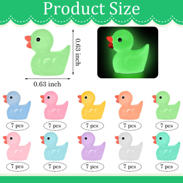 Yuronam 70 Pcs Luminous Tiny Ducks Mini Resin Ducks Glow In The Dark Duck Miniature Ornaments For Slime, Dollhouse, Garden Decoration(Multi Colors)