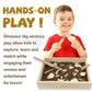 Dinosaur Excavation Archaeology Dig Kit For Kids, Fossil Explore Sensory Bin Toys, Dino Skeletons Bones Puzzle Game, Archaeology Science Stem Toys For Boys And Girls (Stegosaurus)