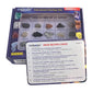 Rocksmins Ro20Wm Rocks Collection Set Of 20 School Education Igneous Sedimentary Metamorphic Samples Activity Geology Earth Scie