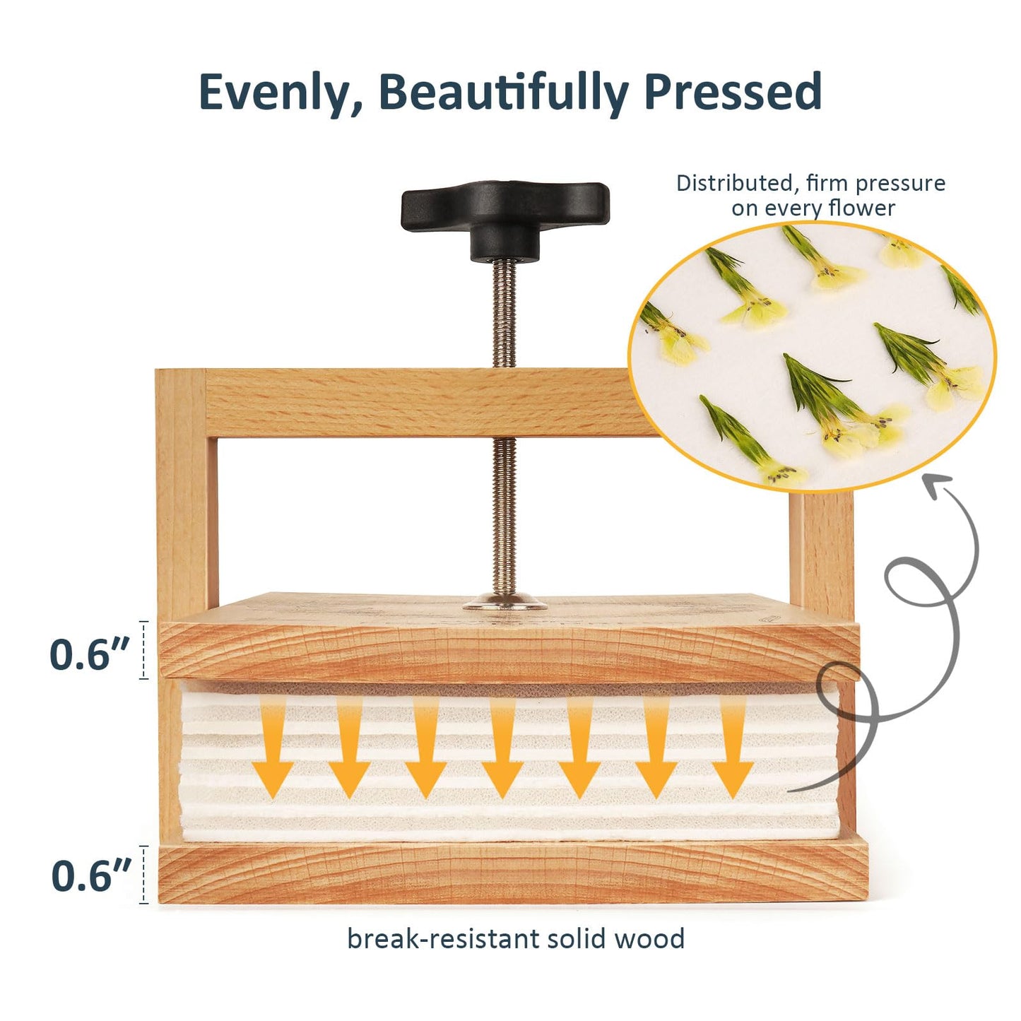 wisedry Flower Press Kit, 10 x 6 inch, 6 Layers, Wood, Yellow-Brown, Includes Gift Box & User Guide, Model NFPK-CP034