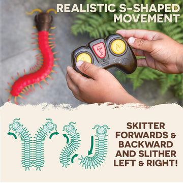 Terra by Battat - Remote Control Centipede Toy for Kids - RC Giant Scolopendra with LED Eyes - Electronic Arthropod Animal & Fas