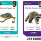 Teacher Created Resources SpellChecked Card Game