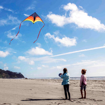Kaiciuss Delta Kite For Kids & Adults Easy To Fly Large, The Easiest Single Line Beach Kite, It Comes With 300Ft String Kite Handle