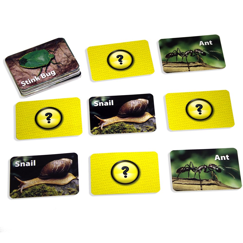Stages Learning Materials Insects And Bugs Photographic Memory Matching Card Game, Grades Prek - 3Slm223