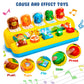 Interactive Pop Up Animal Toys With Music & Light, Montessori Cause And Effect Toys For 1 Year Old Boy Girl Early Learning Musical Baby Toys 9-12-18 Months Stem Toddler Toys Age 1-2 Gift For Infant