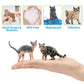 EYSCOTA 12PCS Cat Figurines - Realistic Plastic Kitten Toys, Colorful Cake Toppers for Kids & Children, Model CAT-001