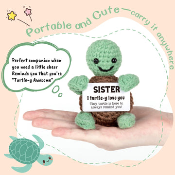 Mini Funny Turtle Sister Gifts From Sister Brother, Soul Sister Friend Gifts For Women Girls, Small Birthday Christmas Sister Gi