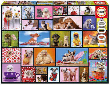 Educa Shared Moments Puzzle