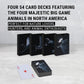 Guytrendz Big Game Playing Cards With Organizer Box Waterproof Stylish Playing Cards, Cool Deck Of Cards, Poker Cards For Collec