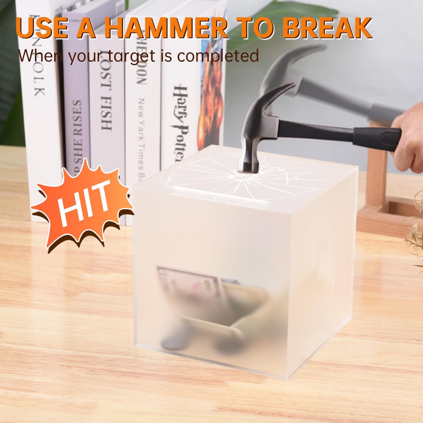 Aipor Piggy Bank For Adults/Kids Must Break To Open, Unopenable Acrylic Piggy Bank, Acrylic Frosted Piggy Bank For Boys/Girls To