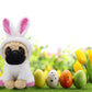 Yonlit Adorable Pug-Bunny Stuffed Animal Dressed In A White Rabbit Outfit, Super Cute And Soft Plush Puppy Bunny For Easter Bask