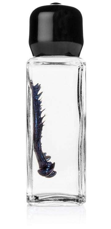 Blue Colored Ferrofluid In A Bottle Display