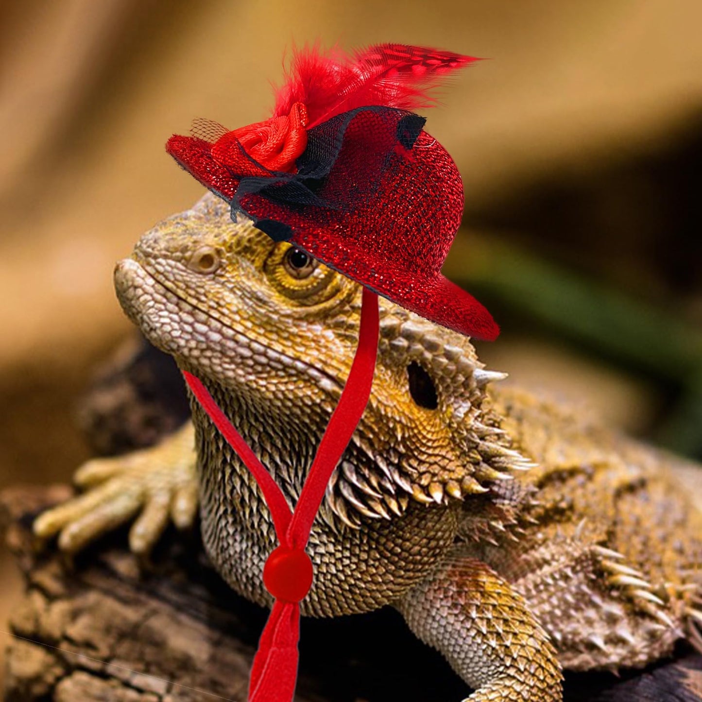 6 Pieces Chicken Hats For Hens Fit Chicken Clothes Costumes For Chickens Hats For Chickens Bearded Dragon Costume Tiny Hats Smal
