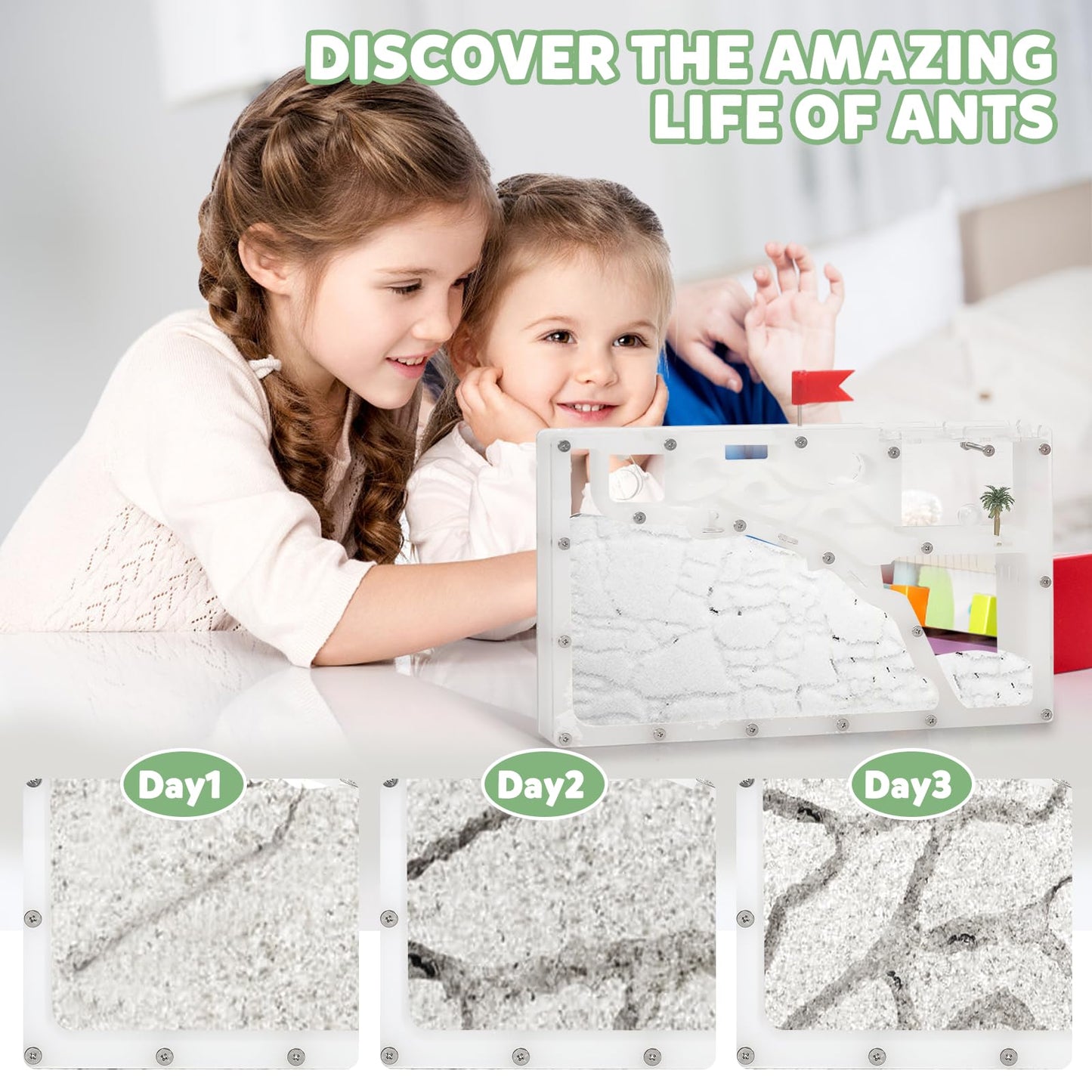 Blevla Ant Farms with Connections  Ant Farms for Kids & mature-themed  Live Ants for Ant Farm Educational Science DIY Toy Kit - STEM Learning Toy - Great Gifts for Boys & Girls (Rectangle)