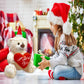 Yolinyoish Stuffed Teddy Bear Dolls With Heart Cute Animal Plush Toy For Girlfriend Mom Anniversary Valentines Birthdays Gifts 1