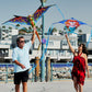 Windnsun Skyzoo Rhinoceros Rip-Stop Nylon Rhino Kite, 43 Inches Tall (Model: 70805)