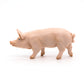 Papo -Hand-Painted - Figurine -Farmyard Friends -Boar -51044 - Collectible - For Children - Suitable For Boys And Girls - From 3 Years Old
