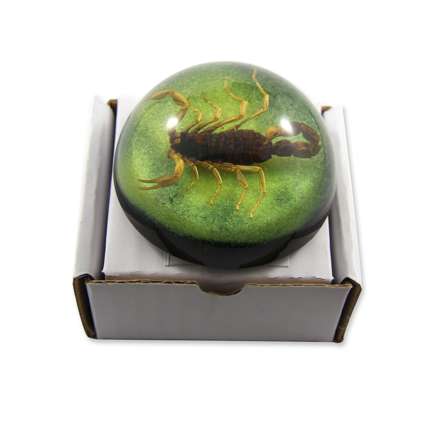 2.5 '' Golden Scorpion Dome Paperweight Green