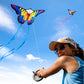 Honbo Butterfly Kites For Kids & Adults,55' X 28' Large Beginner Kite For Kids Ages 4-8,Easy To Fly For Beginners,Beach Kites For Outdoor Activities & Family Trip(Blue+Rainbow)