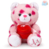 Specialyou Valentine Love Teddy Bear Plush Soft Stuffed Animal Romantic Cute Love Teddy Bear Plush For Lovers/Girlfriends Valent