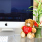 Plushland Stuffed Mocha Heart Bear - Plush Bear Toy For Kids & Adults - Embroidered Heart Pillow - Brown-6 Inches (Love You-Cream)