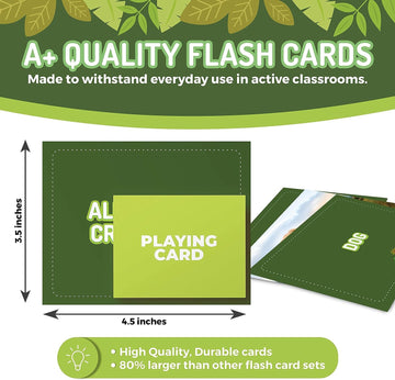 100 Animal, Insect & Ocean Creatures Flash Cards, Realistic Pictures For Fun Learning & Montessori Educational Vocabulary Builde