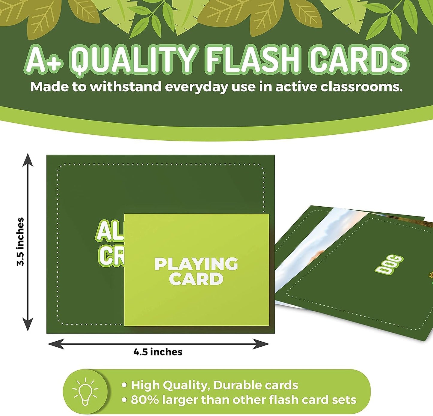 100 Animal, Insect & Ocean Creatures Flash Cards, Realistic Pictures For Fun Learning & Montessori Educational Vocabulary Builde
