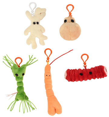 GIANT MICROBES Body Cells Gift Box - 5 Plush Cell Charms, Multicolor, Science Teacher Gifts, Model GMUS-BX-0106
