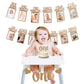 Siyoriot Baby 1st Birthday Decorations Girl Monthly Photo Banner First Birthday Decor with 1st Birthday High Chair Banner and On