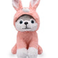 YONLIT Adorable Husky Stuffed Animal Dressed in a Pink Bunny Outfit, Super Cute and Soft Plush Puppy Bunny for Easter Basket Gif