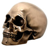 SUMMIT COLLECTION Decorative Bronze Colored Skull Head Skeleton Figurine Statue